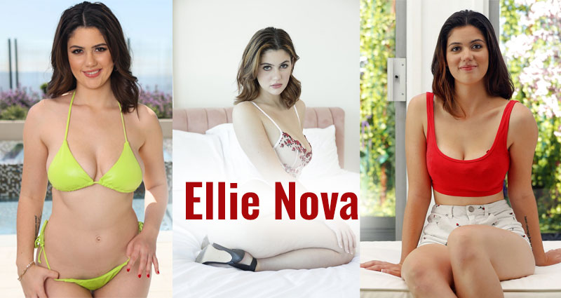 Ellie Nova Pornstar Ellie Nova