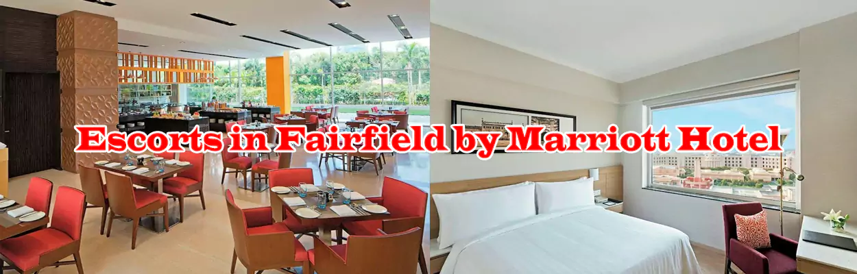 Escorts in Fairfield by Marriott Hotel